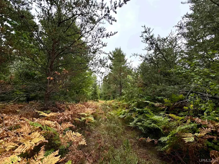35 Acres off County Rd Co, Ishpeming, MI 49849 - #3