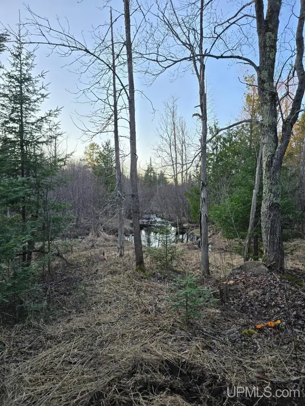 689 Dalton, Marquette, MI 49855