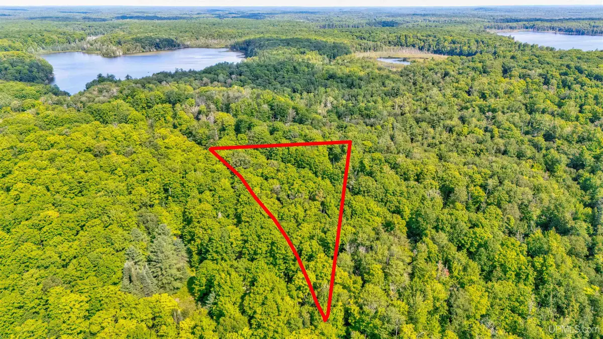 6590 County Road 445, Manistique, MI 49854 - #1