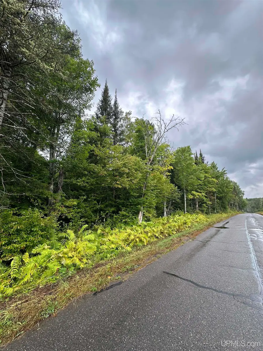 TBD Old Beechwood, Iron River, MI 49935 - #2