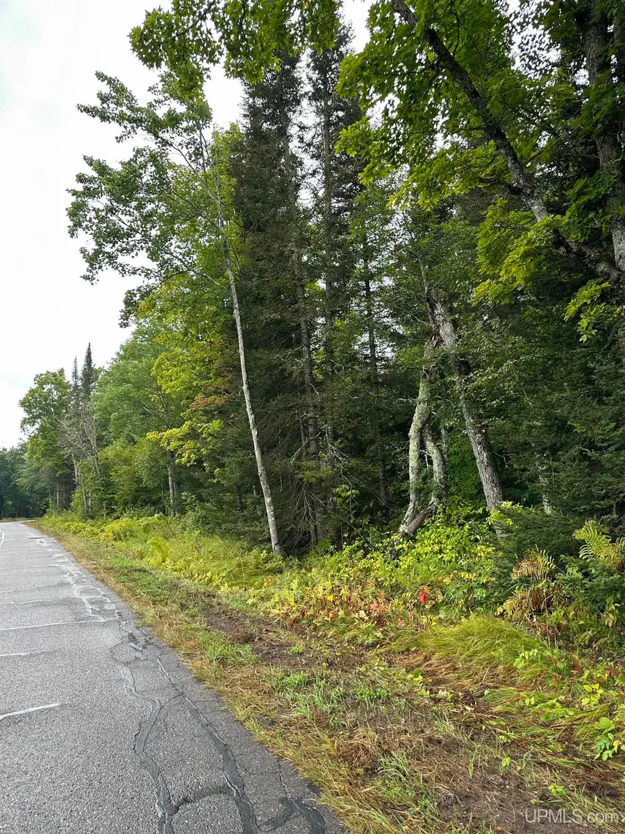 TBD Old Beechwood, Iron River, MI 49935 - #3