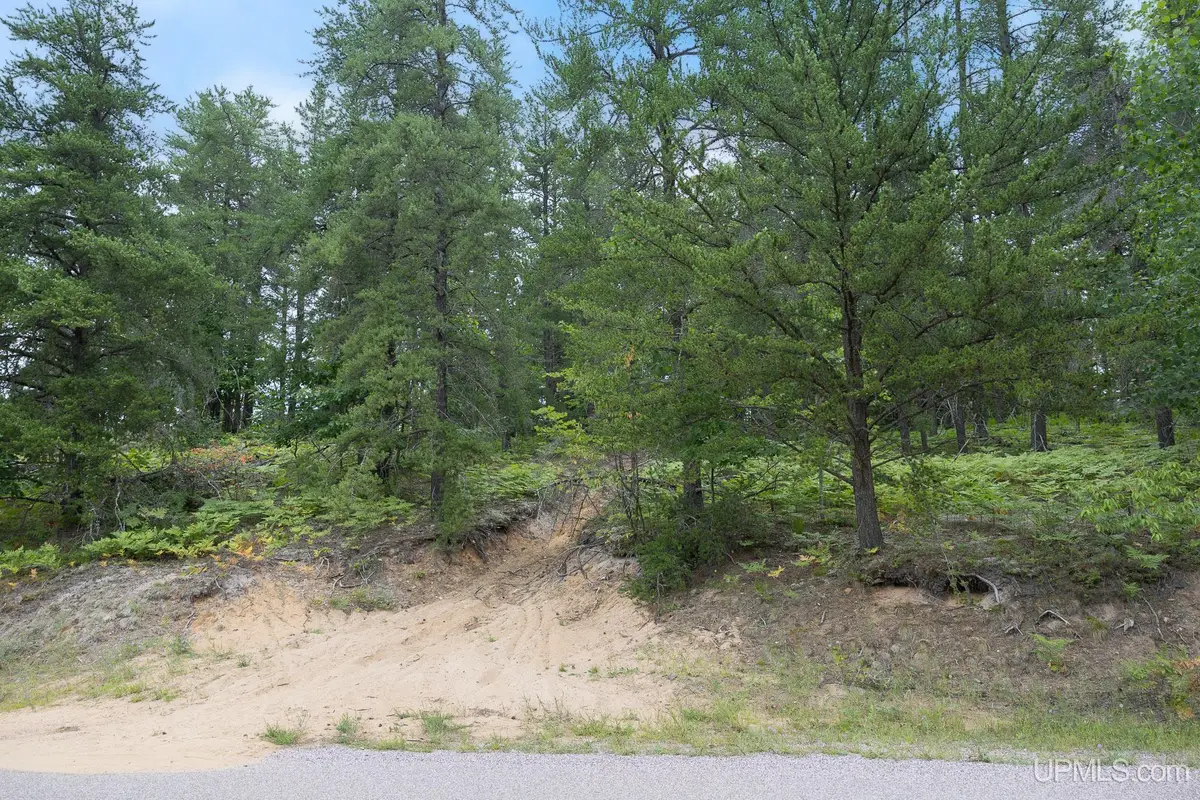 Lot 1 South Basin, Negaunee, MI 49866 - #1