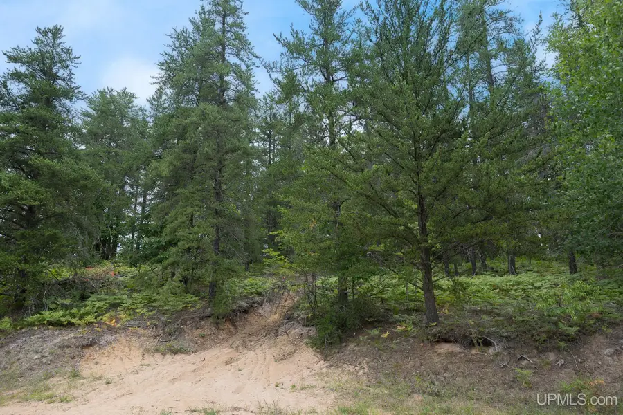 Lot 1 South Basin, Negaunee, MI 49866 - #2