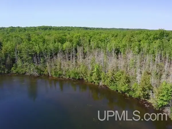 33 Acres La Fave, Goodman T-WI, WI 54125