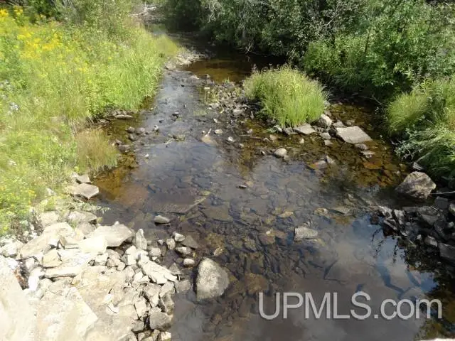 3638 M-67, Limestone, MI 49816 - #2