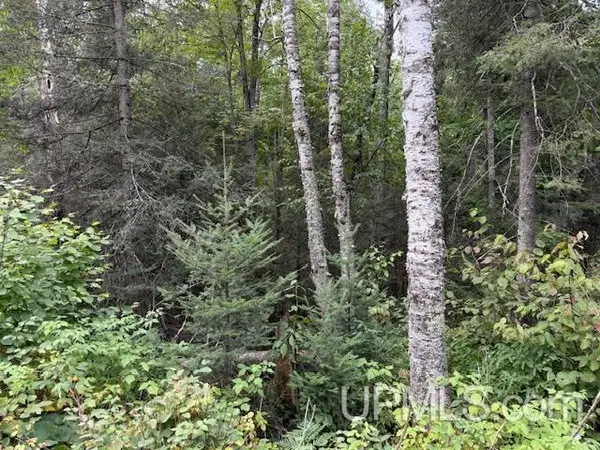 1.53 AC Loon Lake, Florence T-WI, WI 54121