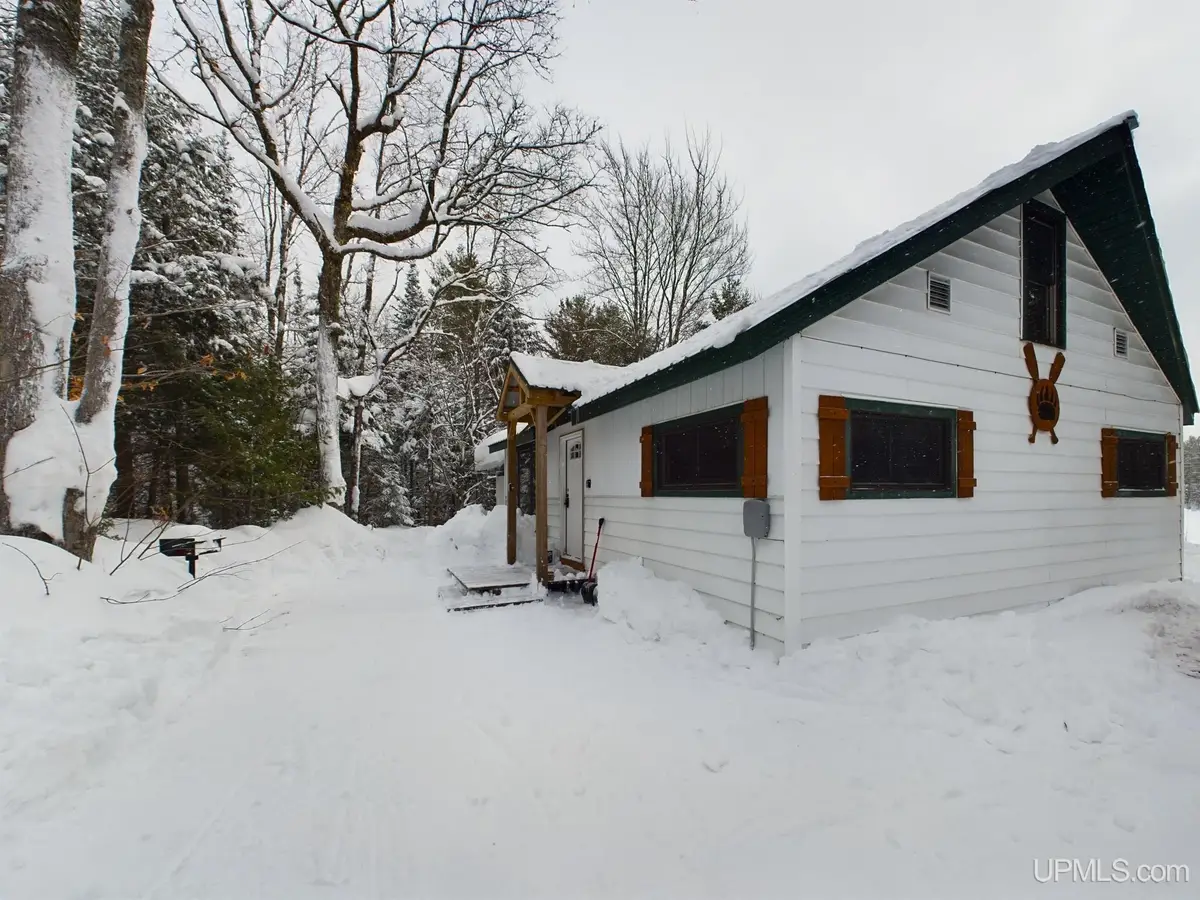 9798 Ross Lake, Shingleton, MI 49884 - #1