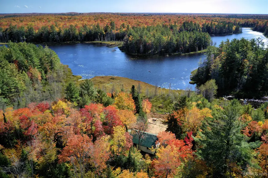 9798 Ross Lake, Shingleton, MI 49884 - #2