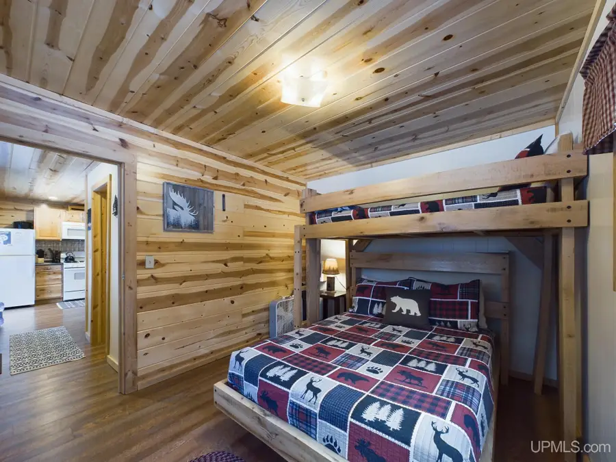 9798 Ross Lake, Shingleton, MI 49884 - #3