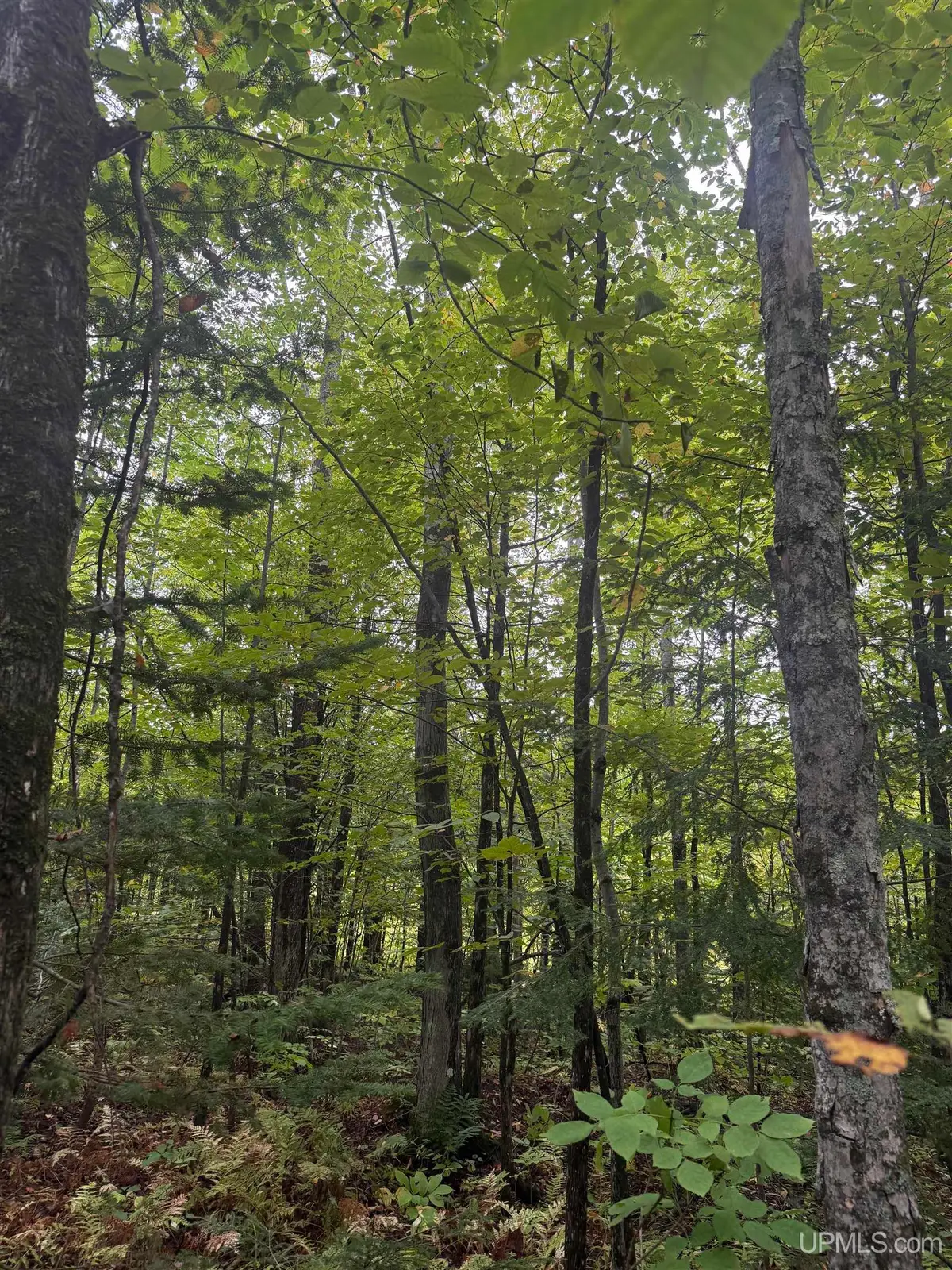 TBD 1-10 Tikka, Ontonagon, MI 49953 - #1