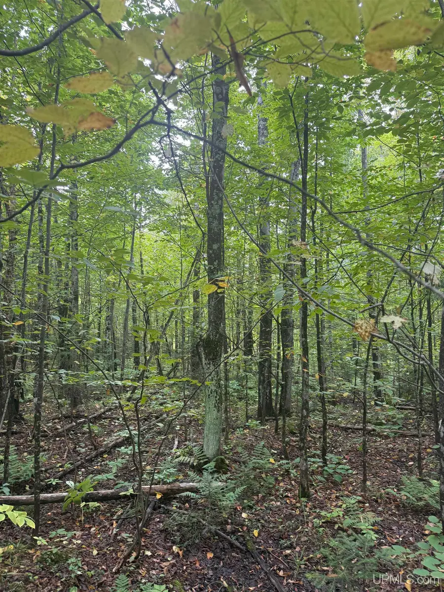 TBD 1-10 Tikka, Ontonagon, MI 49953 - #2