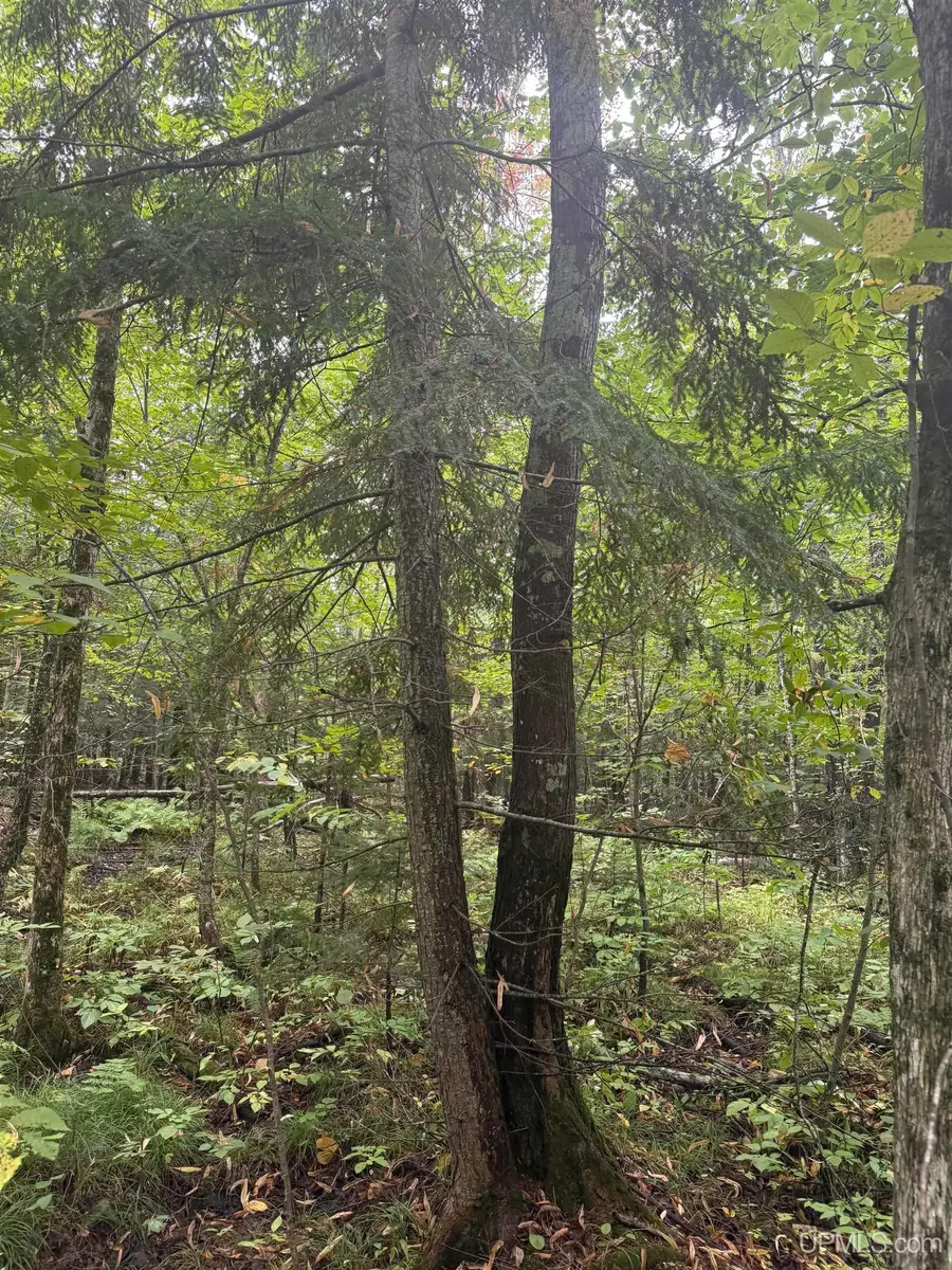 TBD 1-10 Tikka, Ontonagon, MI 49953 - #3
