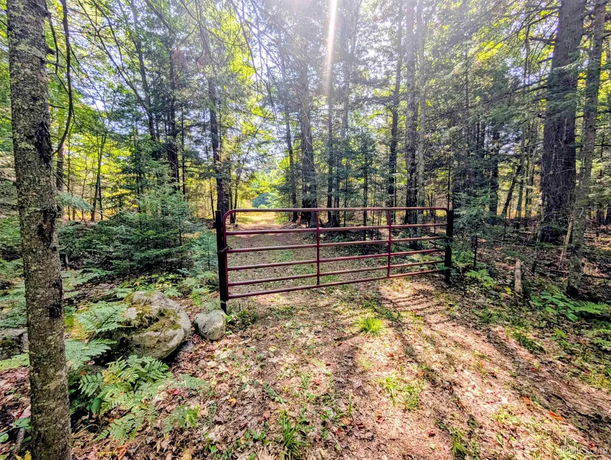 90 Acres Pentoga, Crystal Falls, MI 49920 - #1