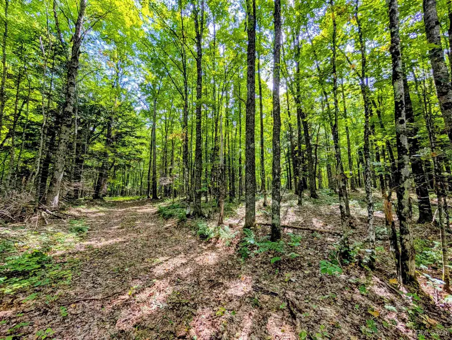 90 Acres Pentoga, Crystal Falls, MI 49920 - #3