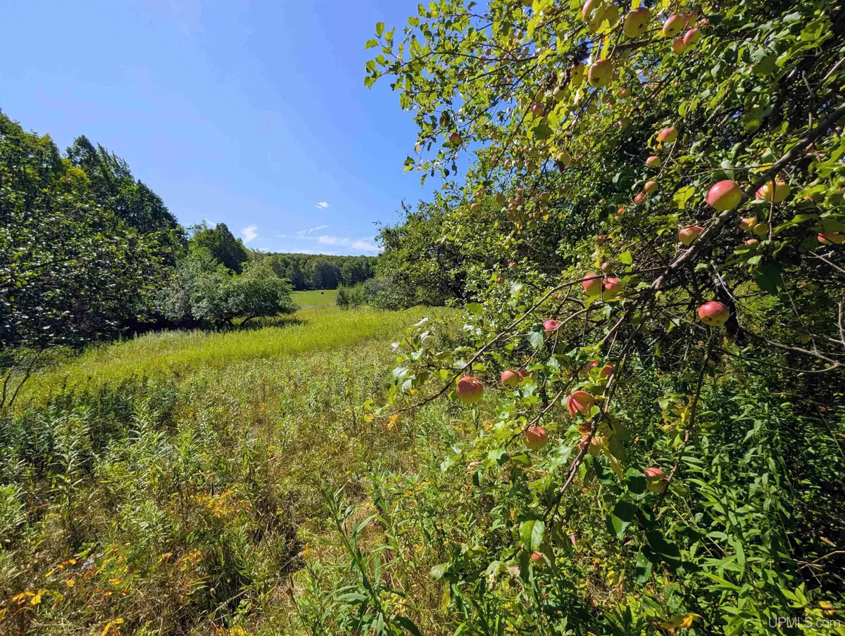34 acres Chicagon Mine, Iron River, MI 49935 - #1