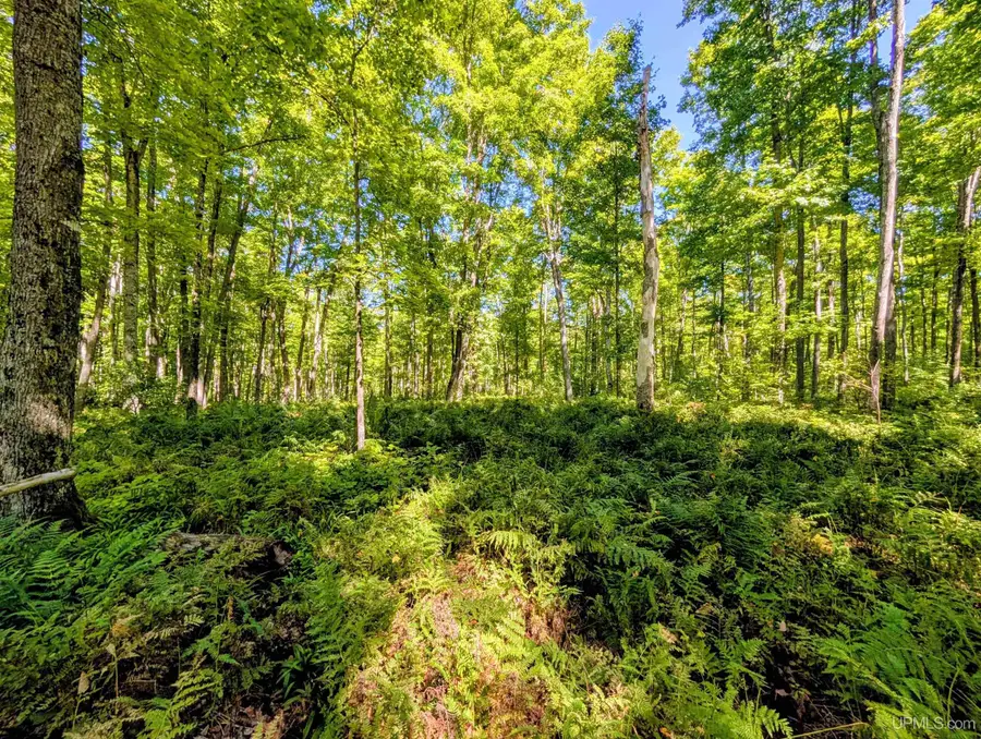 34 acres Chicagon Mine, Iron River, MI 49935 - #3