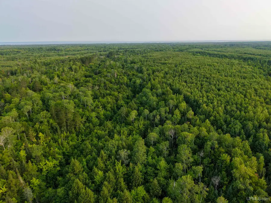 Lot 13 (South) M-64, Ontonagon, MI 49953 - #2
