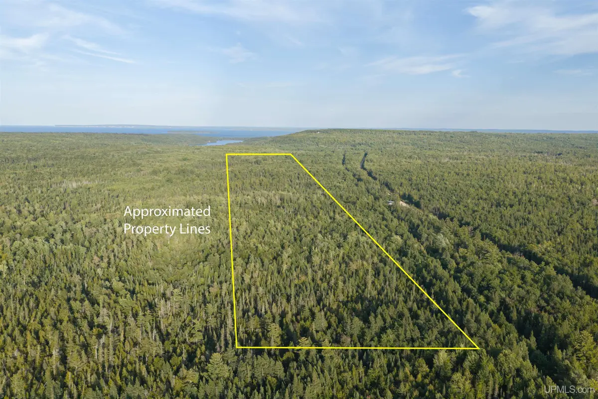 TBD 120 Acres Parcel B Off Deerton, Deerton, MI 49822 - #1
