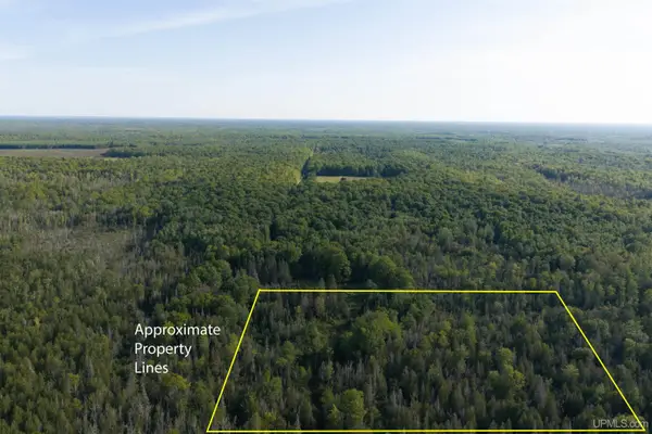 TBD 40 Acres A Off Diffin, Limestone, MI 49816