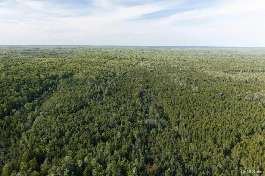 TBD 40 Acres A Off Diffin, Limestone, MI 49816 - #2