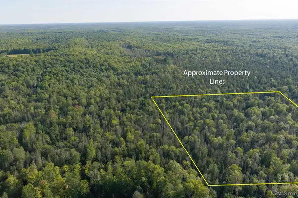 TBD 40 Acres Parcel B Diffin, Limestone, MI 49816
