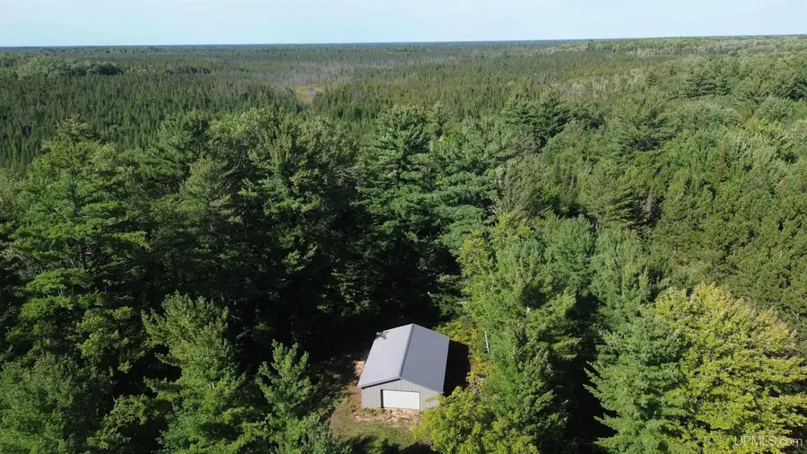 7220 W Smith Lake, Manistique, MI 49854 - #2