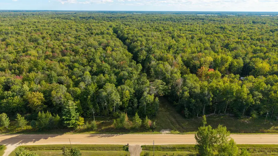 Parcel D E Baker, Hope, MI 48628 - #3