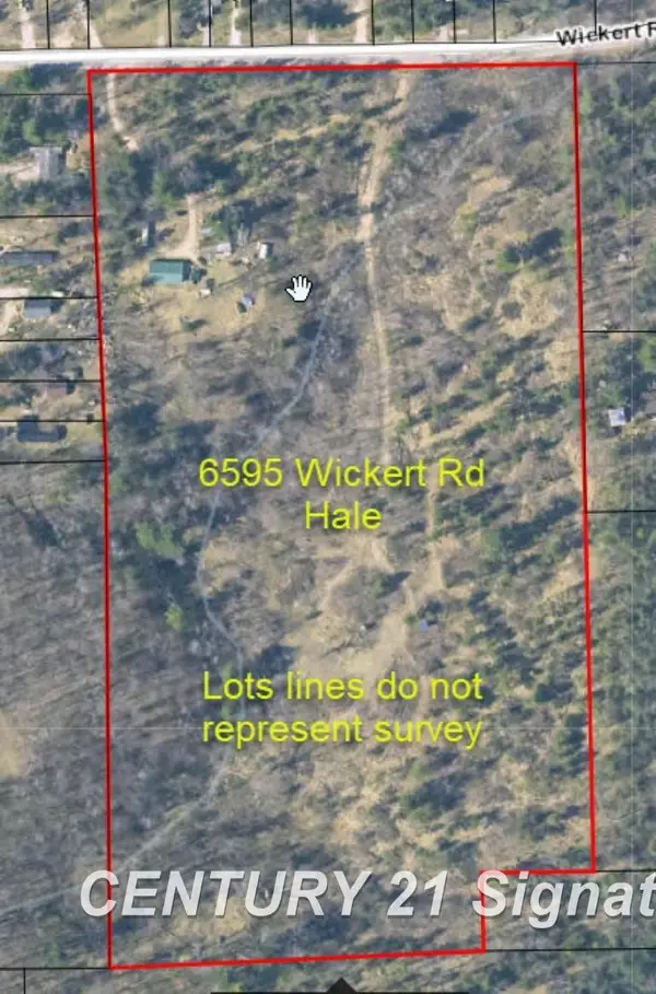 6595 Wickert, Hale, MI 48739