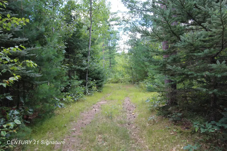 6595 Wickert, Hale, MI 48739 - #2