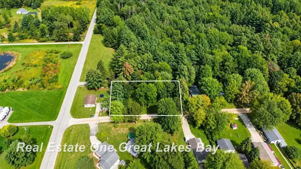 0 Pine Trl, Beaverton, MI 48612