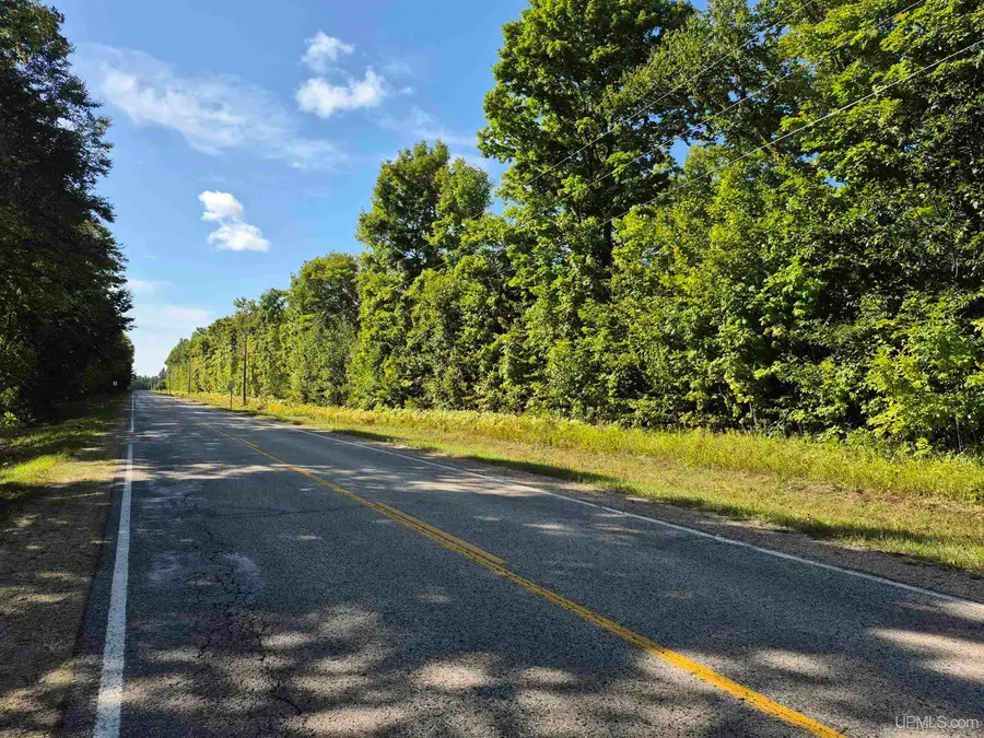 10 acres River Road, Gulliver, MI 49840 - #2