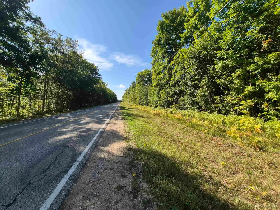 10 acres River Road, Gulliver, MI 49840 - #3