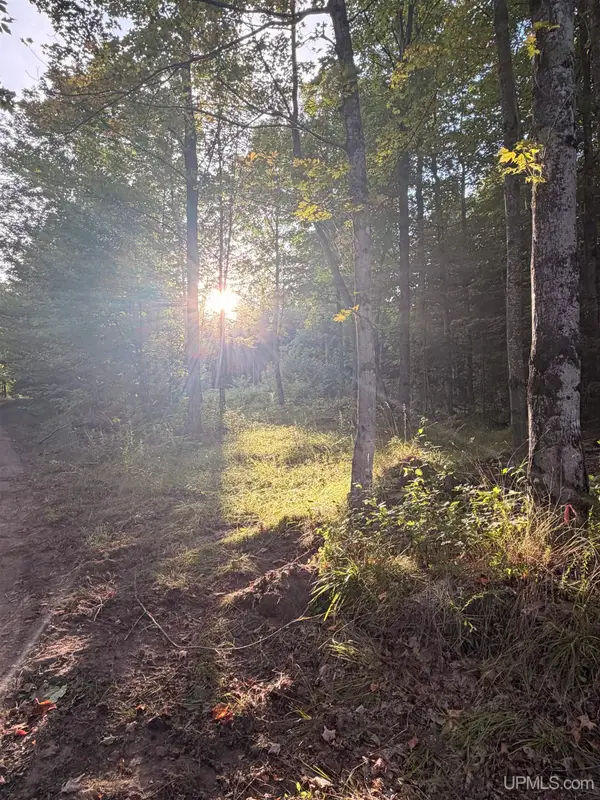 TBD Harborview Lot 21, Munising, MI 49862