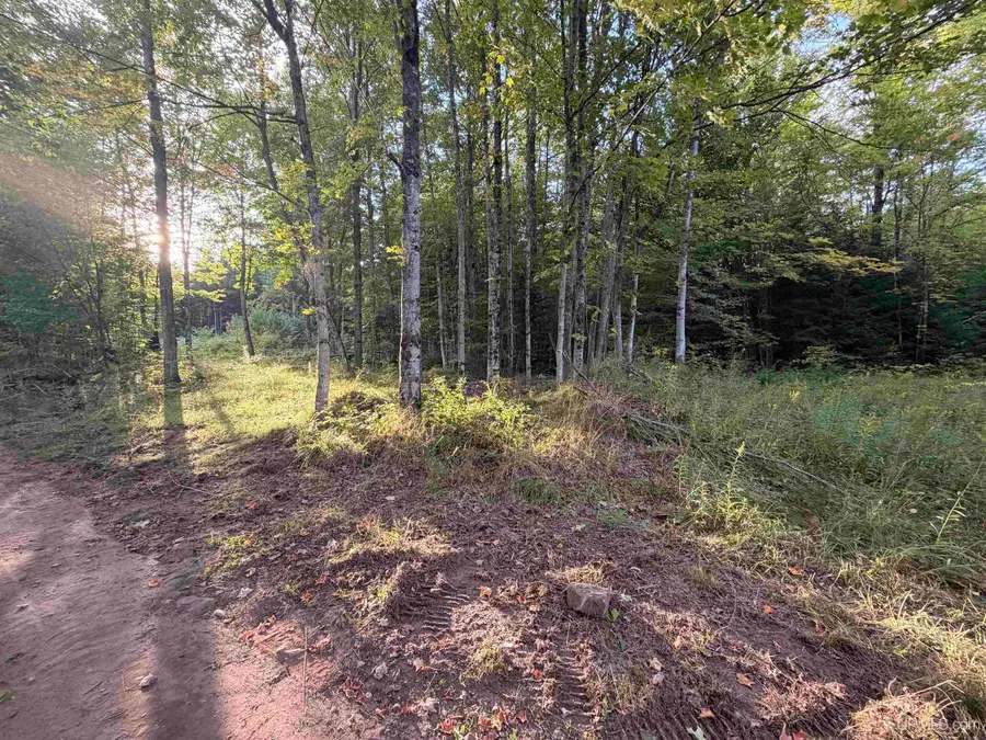 TBD Harborview Lot 21, Munising, MI 49862 - #2