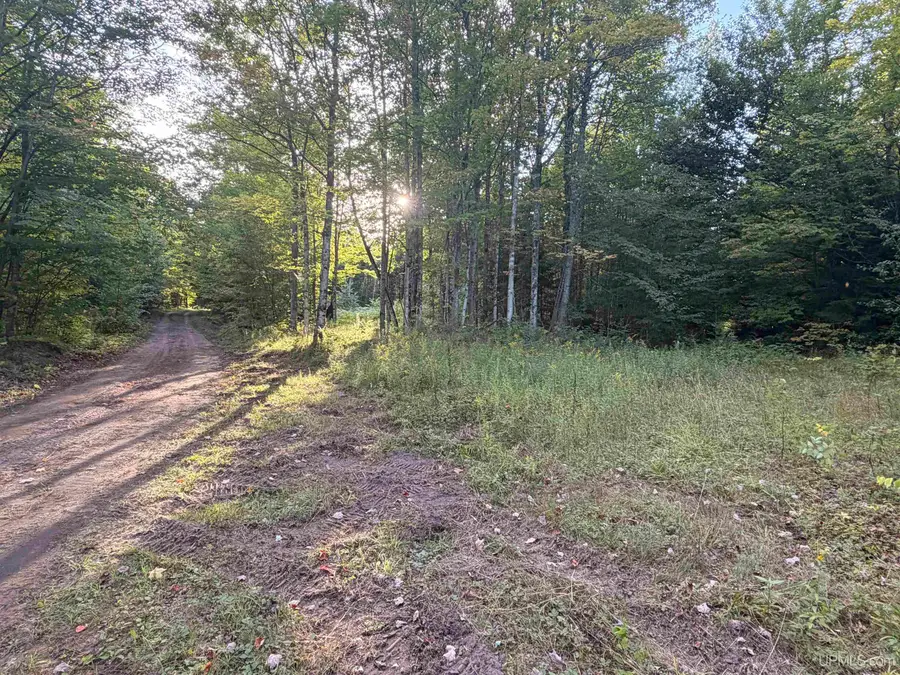 TBD Harborview Lot 21, Munising, MI 49862 - #3