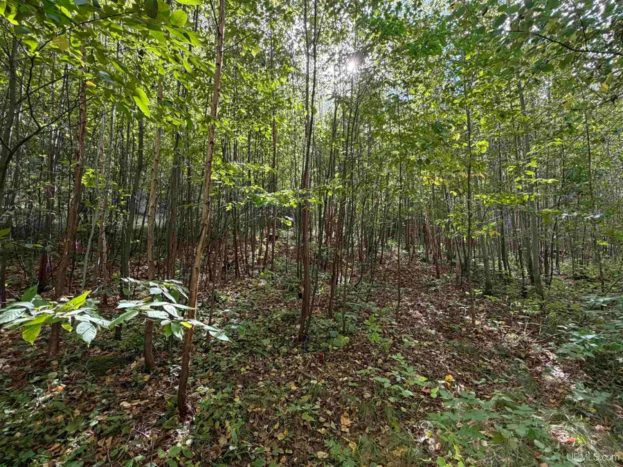 W 40 +/- Acres 2116 Us 41, Michigamme, MI 49861 - #2