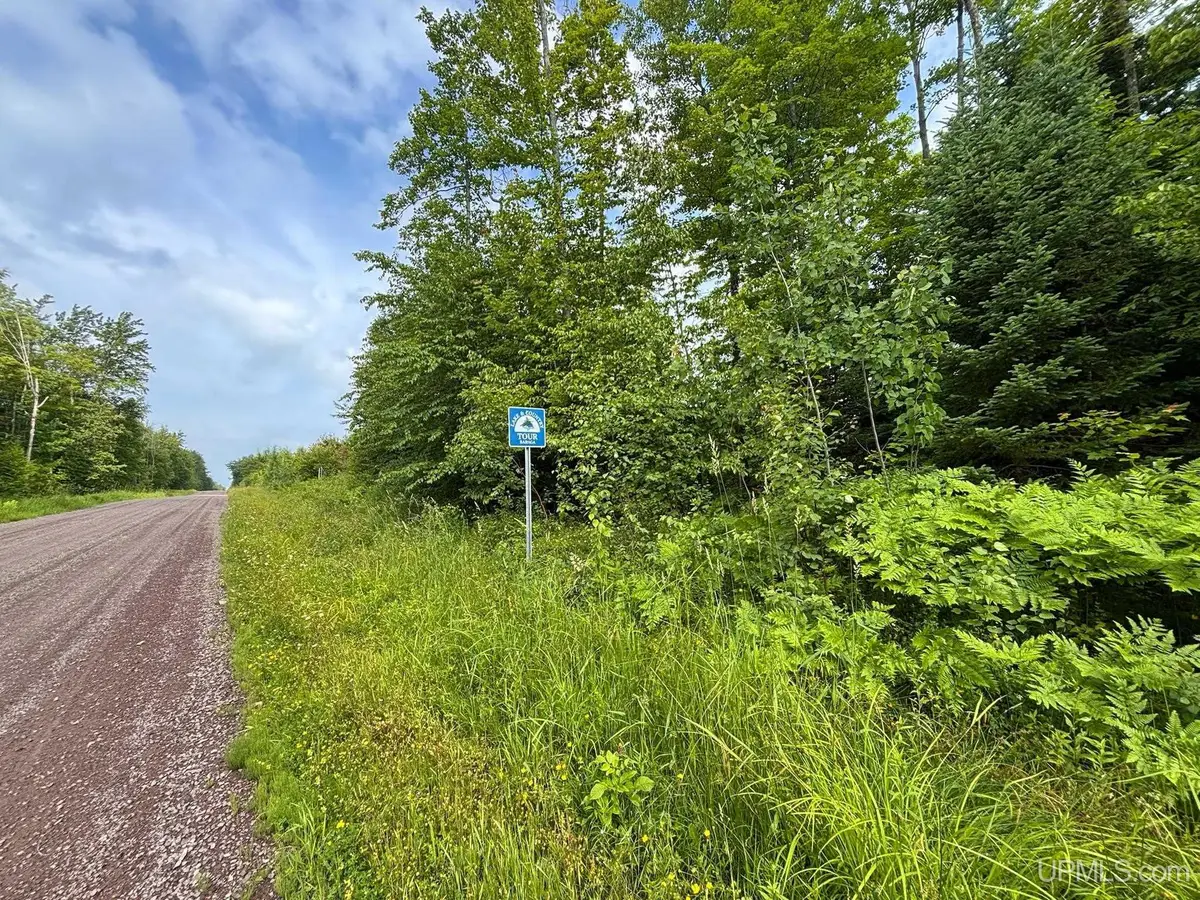 TBD Bear Town, Baraga, MI 49908 - #1