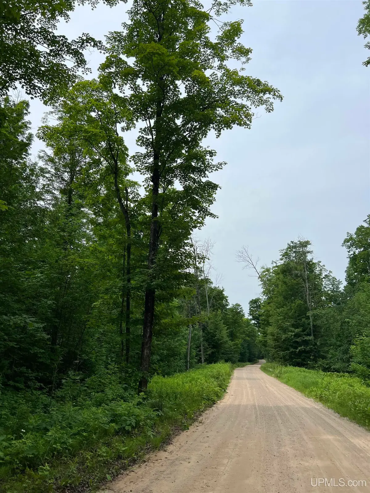 56730 Lantz, Felch, MI 49831 - #1