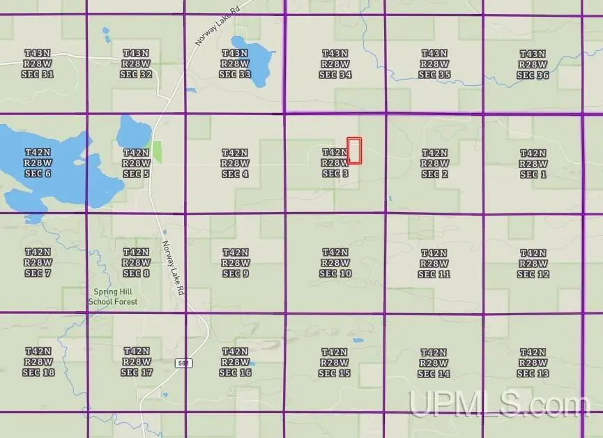 56730 Lantz, Felch, MI 49831 - #3