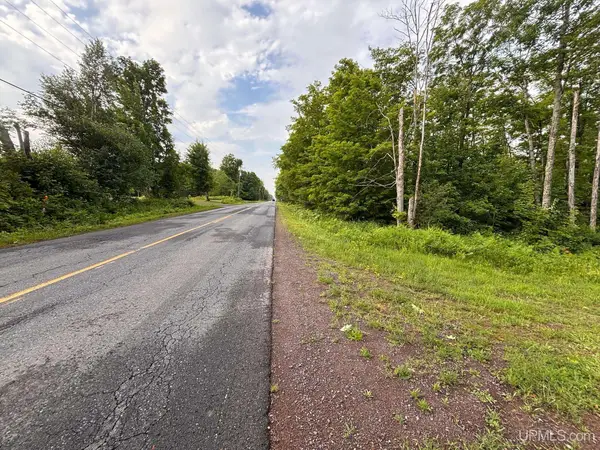 TBD Otter Lake - Tapiola, Chassell, MI 49916