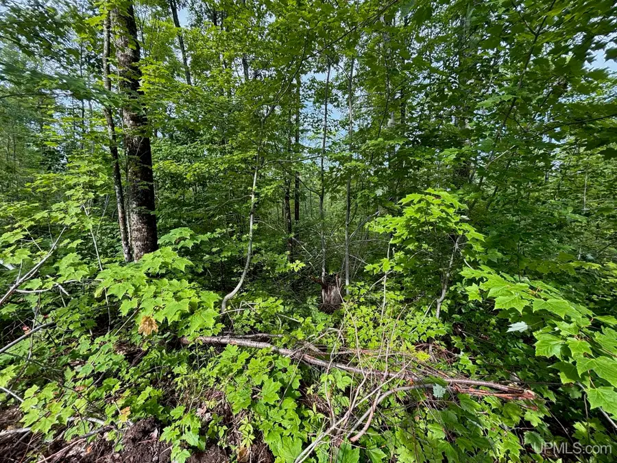 TBD Otter Lake - Tapiola, Chassell, MI 49916 - #3