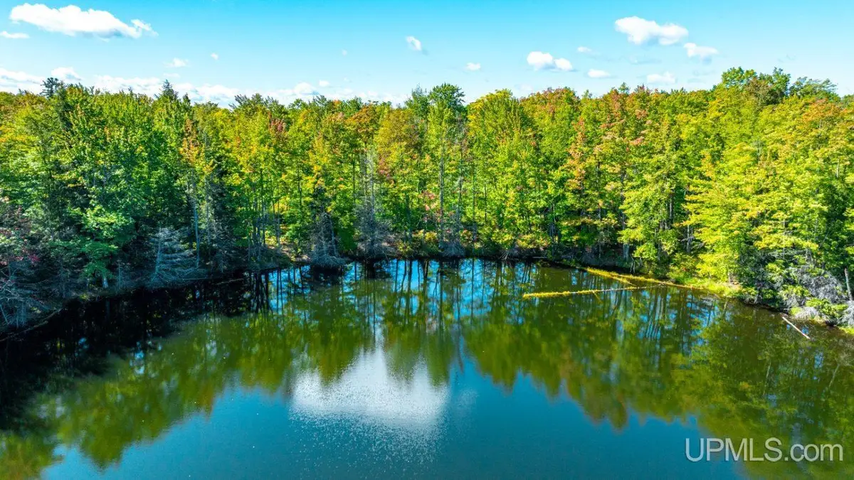Horseshoe Lake, Toivola, MI 49965 - #1