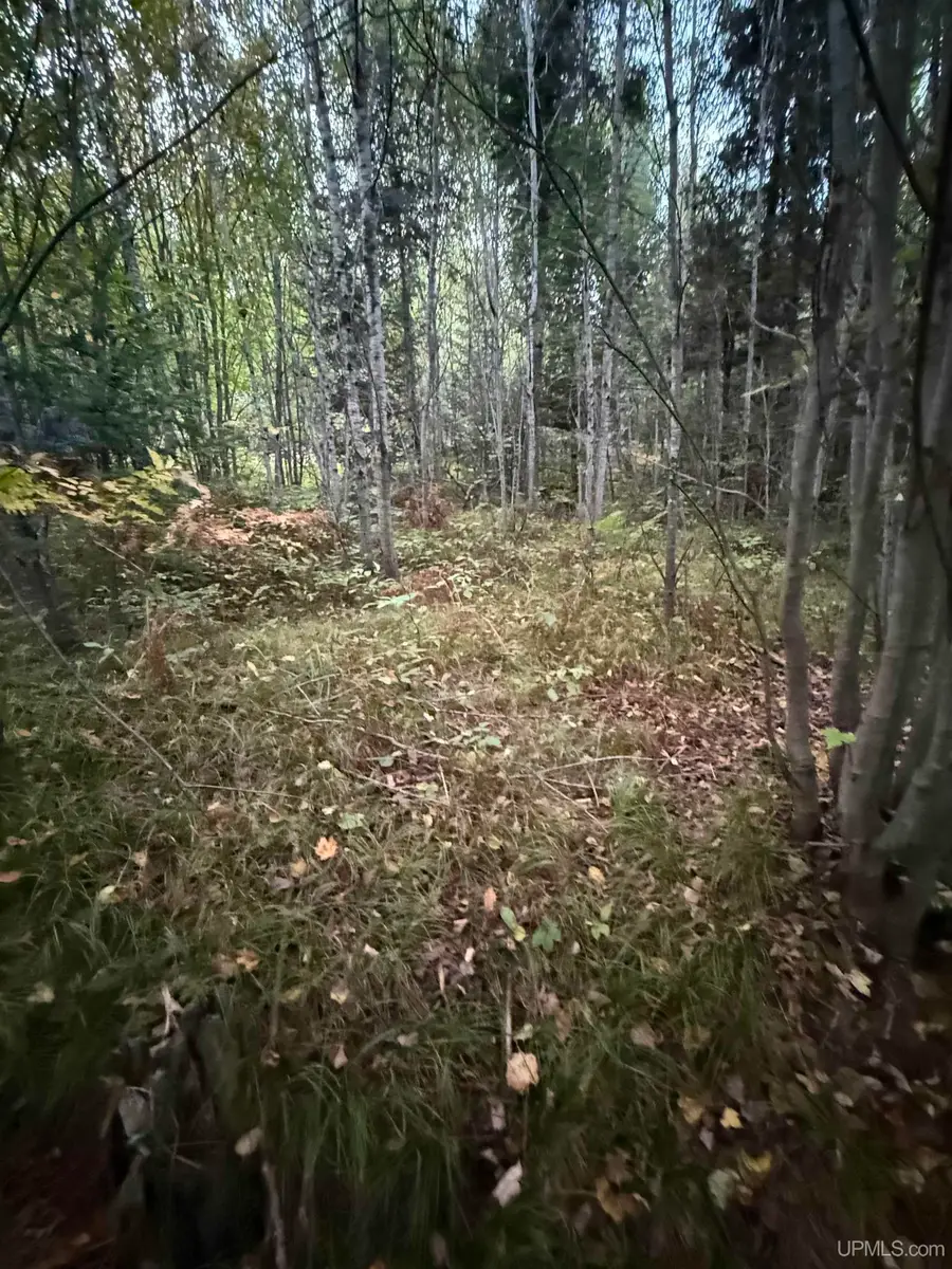 TBD Morrison Creek, Iron River, MI 49935 - #3