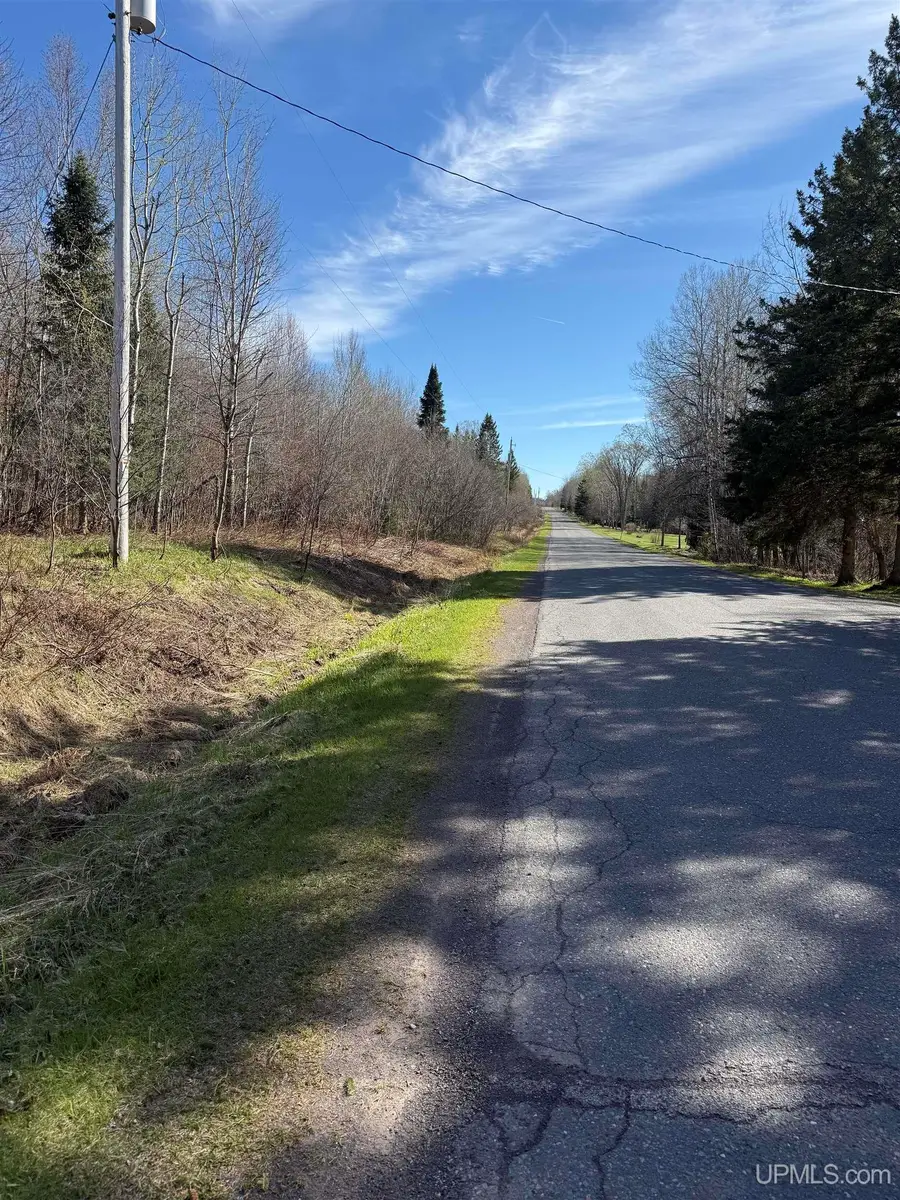 TBD 8.18 S Sidnaw, Sidnaw, MI 49961 - #2