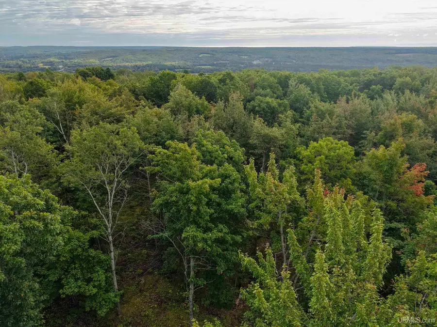 TBD Palosaari, Calumet, MI 49913 - #2