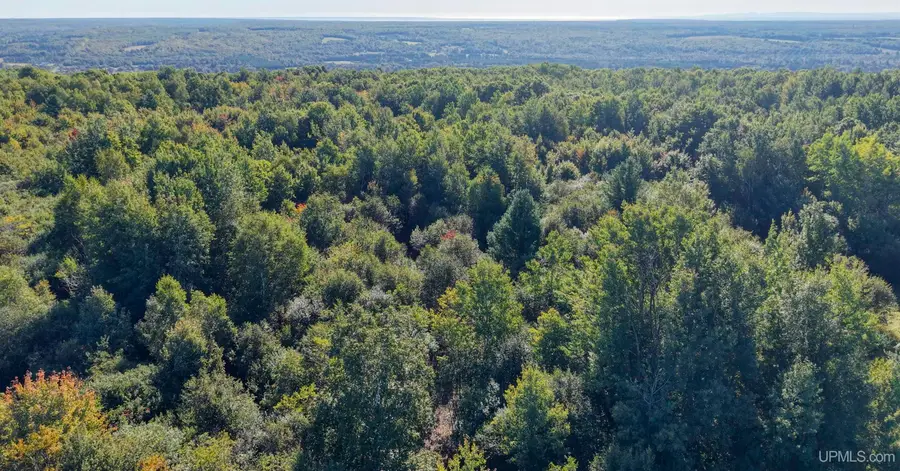 TBD Palosaari, Calumet, MI 49913 - #3