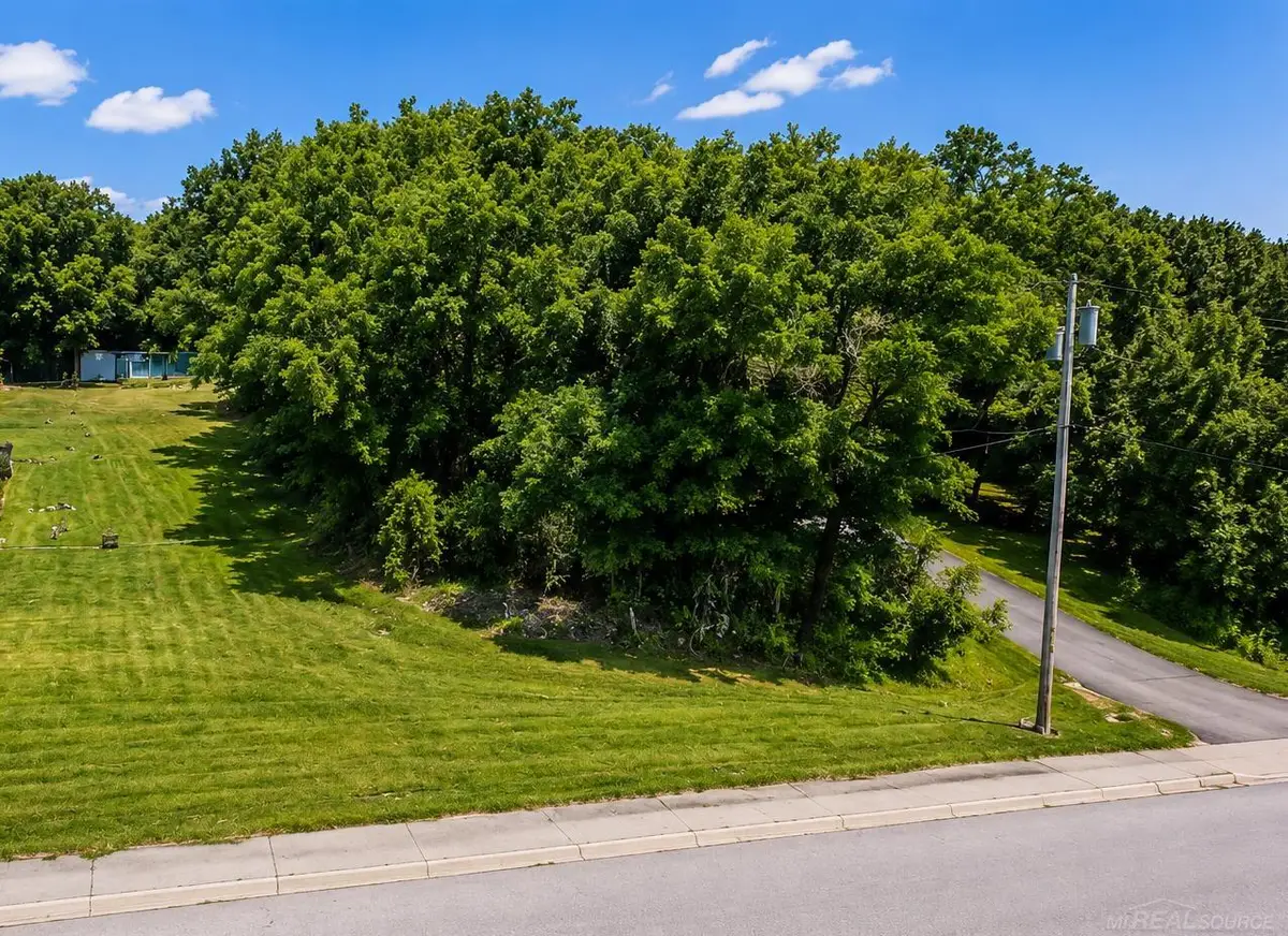 00 Hickey, New Baltimore, MI 48051 - #1