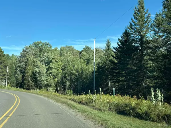 14 ac Lind, Crystal Falls, MI 49920
