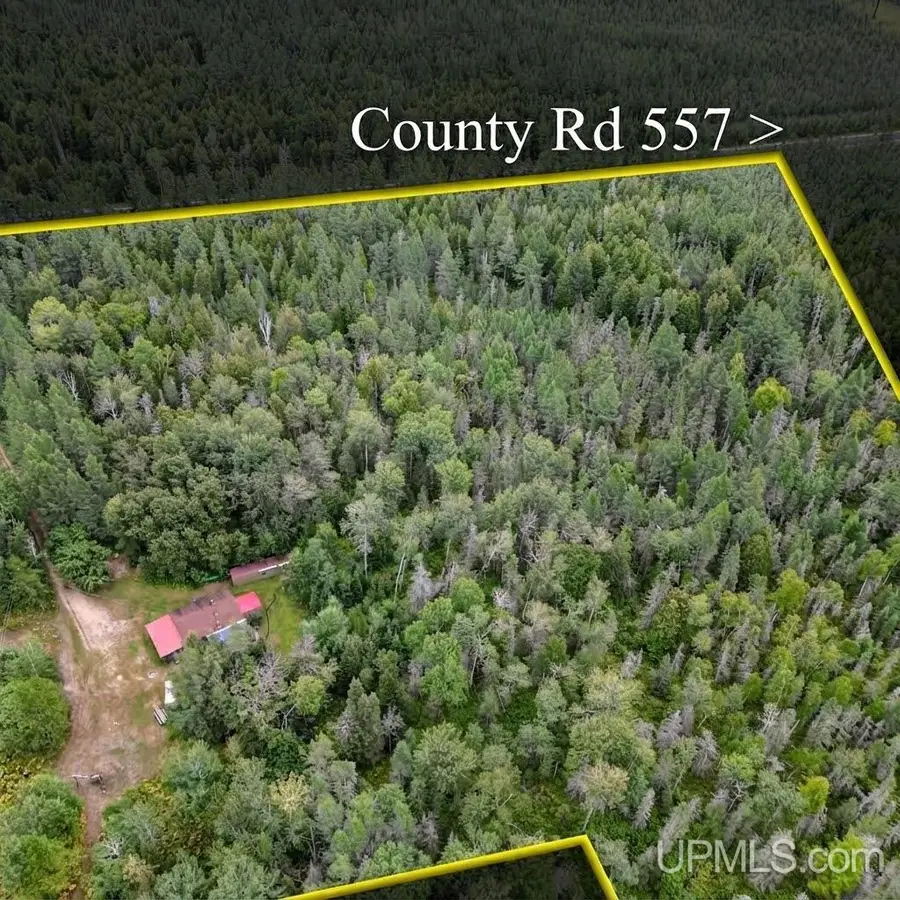 2500 County Rd 557, Arnold, MI 49819 - #2