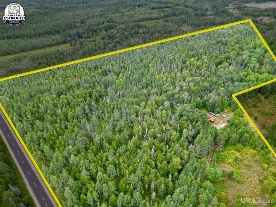 2500 County Rd 557, Arnold, MI 49819 - #3